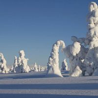 Finlandia inverno
